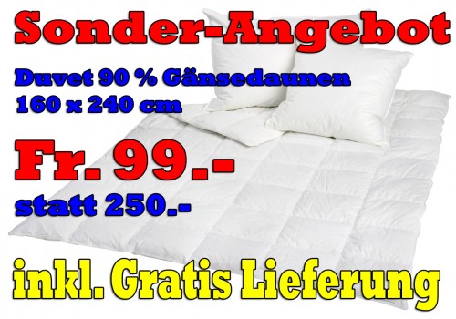 Duvet 160 x 240 cm  90% Gänsedaunen 